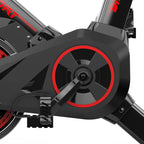 DUTRIEUX Indoor Cycle Exercise Spinning Bike with LCD Monitor